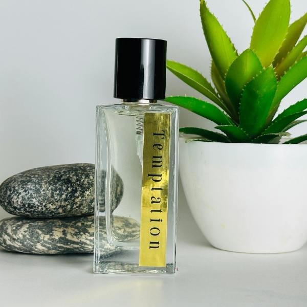 temptation inspired by ganymede mab temptation inspired by ganymede mab